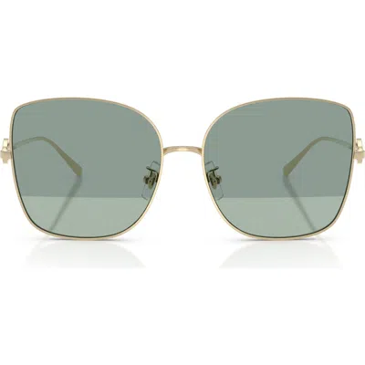 Tory Burch 60mm Oversize Butterfly Sunglasses In Green