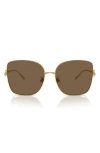 Tory Burch 60mm Oversize Butterfly Sunglasses In Gold/ Gold