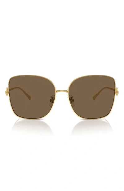 Tory Burch 60mm Oversize Butterfly Sunglasses In Gold/ Gold