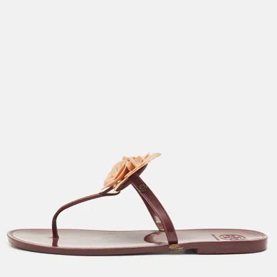 Pre-owned Tory Burch Burgundy Jelly Miller Thong Sandals Size 39