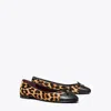 Tory Burch Brown Ballet Shoes With Cap Toe And Leopard Print In Leather Woman In Classic Leopard