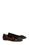 Tory Burch Cap Toe Ballet Flat In Tortoise Patent/perfect Black
