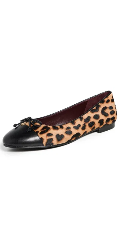 Tory Burch Brown Ballet Shoes With Cap Toe And Leopard Print In Leather Woman