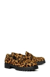 Tory Burch Classic Lug Loafer In Classic Leopard