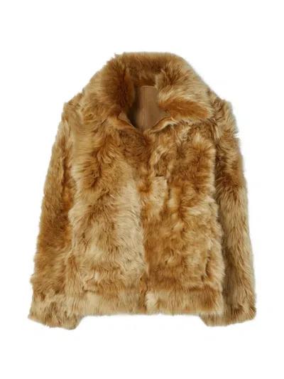 Tory Burch Collar Shearling Jacket In Brown