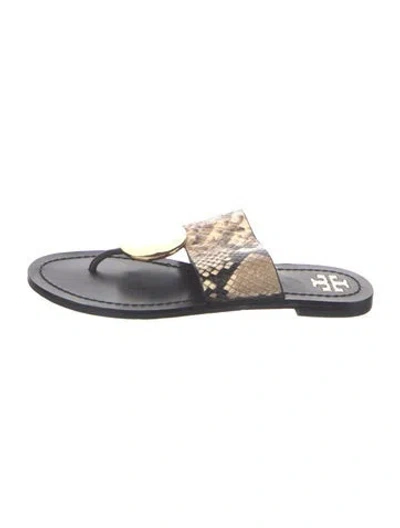 Pre-owned Tory Burch Embossed Leather Animal Print Slides In Multi