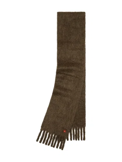 Tory Burch Fringed Floral-embroidered Scarf In Brown