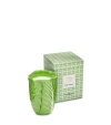 Tory Burch Kerze Im Lettuce-design In Green