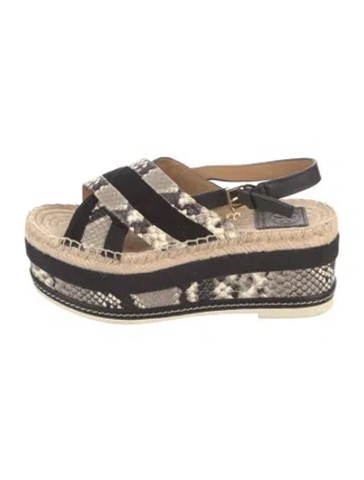 Pre-owned Tory Burch Leather Animal Print Espadrilles In Black