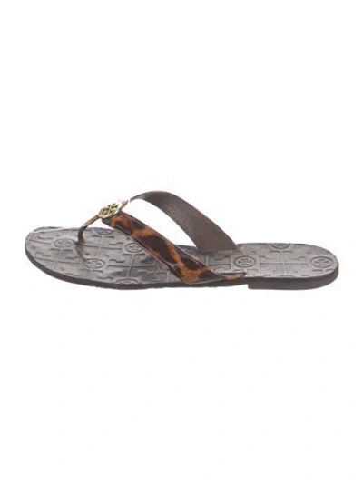 Pre-owned Tory Burch Leather Animal Print Flip Flops In Brown