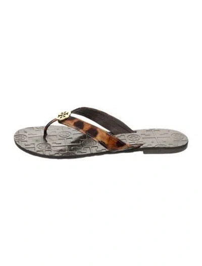 Pre-owned Tory Burch Leather Animal Print Flip Flops In Grey