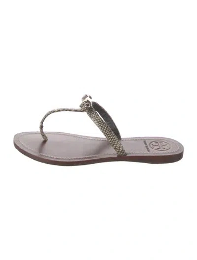 Pre-owned Tory Burch Leather Animal Print Flip Flops In Neutrals