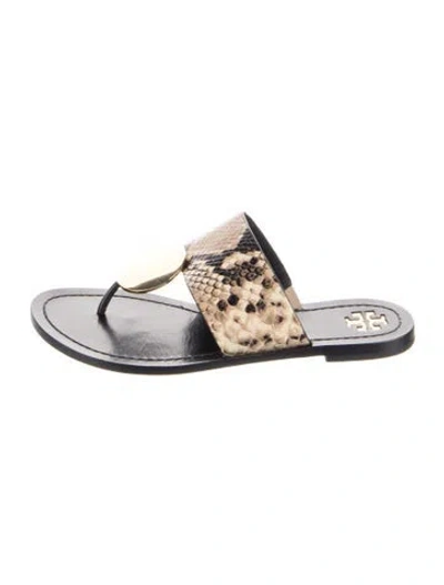 Pre-owned Tory Burch Leather Animal Print Slides In Black