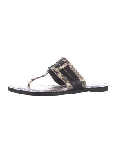 Pre-owned Tory Burch Leather Animal Print Slides In Multi