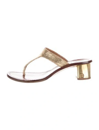 Pre-owned Tory Burch Leather Flip Flops In Brown