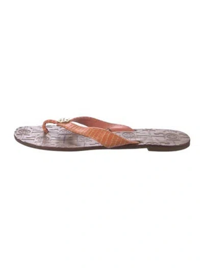 Pre-owned Tory Burch Leather Flip Flops In Brown