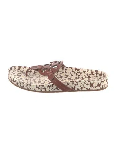Pre-owned Tory Burch Leather Floral Print Flip Flops In Brown