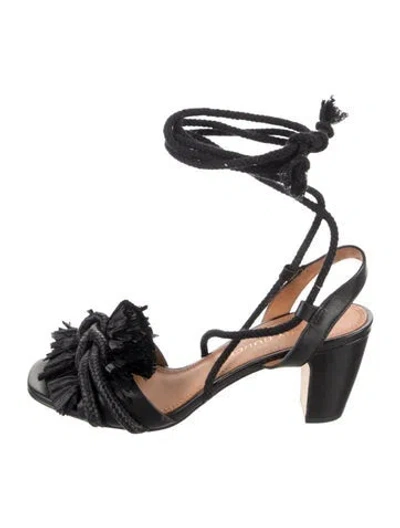 Pre-owned Tory Burch Leather Floral Print Gladiator Sandals In Black
