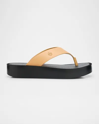 Tory Burch Leather Medallion Flip Flop Sandals In Ginger Shortbread Black
