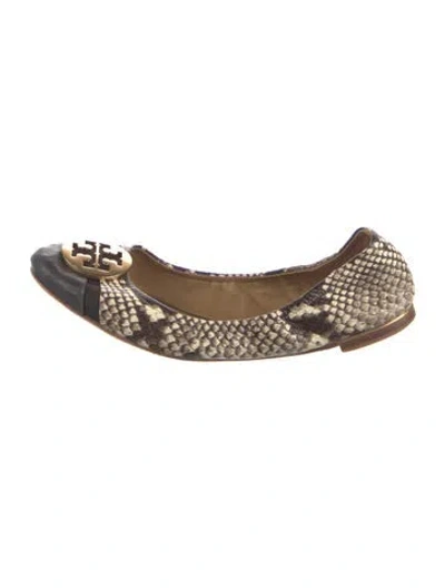 Pre-owned Tory Burch Leather Printed Ballet Flats In Brown