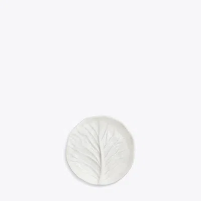 Tory Burch Lettuce Ware Canapé Plate, Set Of 4 In White