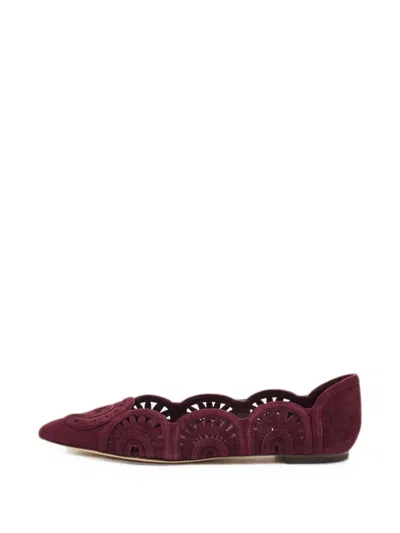 Pre-owned Tory Burch Leyla Laser-cut Ballet Flats In Purple