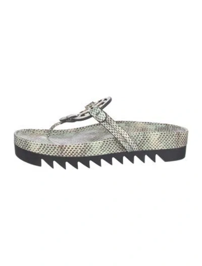 Pre-owned Tory Burch Lizard Animal Print Flip Flops In Multicolor