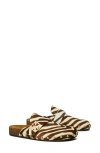 Tory Burch Mellow Genuine Calf Hair Stud Mule In Zebra Print Calf Hair/gold