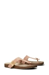 Tory Burch Mellow Thong Sandal In Malva / Avola