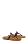 Tory Burch Miller Cloud Thong Sandal In Brown
