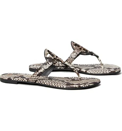 Pre-owned Tory Burch Miller Leather Thong Sandal Warm Roccia Us 7 7.5 8 8.5 9 9.5 10 In Black