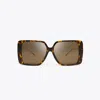 Tory Burch Miller Oversized Square Sunglasses In Dark Tortoise/dark Brown