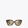 Tory Burch Miller Square Sunglasses In Brown