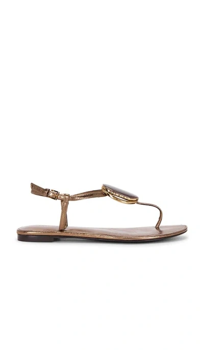 Tory Burch Patos Thong Sandal In Brown