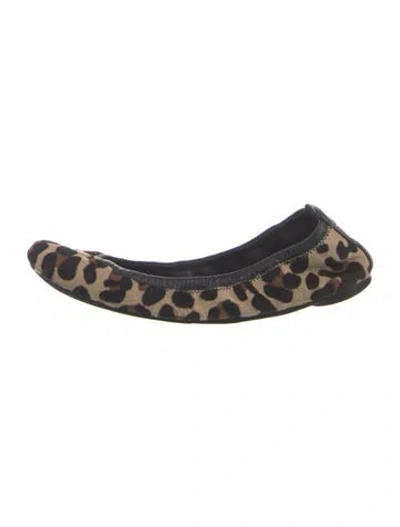 Pre-owned Tory Burch Ponyhair Animal Print Ballet Flats In Blue