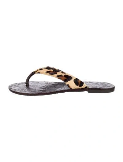 Pre-owned Tory Burch Ponyhair Animal Print Flip Flops In Brown