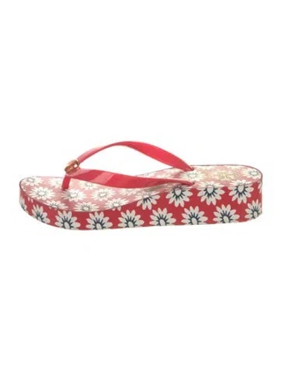 Pre-owned Tory Burch Rubber Floral Print Flip Flops In Red