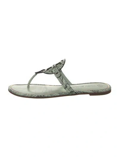 Pre-owned Tory Burch Snakeskin Animal Print Flip Flops In Green