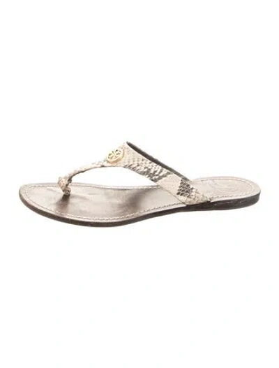 Pre-owned Tory Burch Snakeskin Animal Print Slides In Neutral