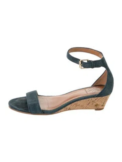Pre-owned Tory Burch Suede Sandals In Blue