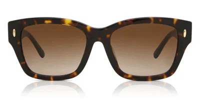 Tory Burch Ty7167u 172813 Women's Sunglasses Tortoiseshell Size 53 In Brown