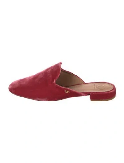 Pre-owned Tory Burch Velvet Mules In Pink