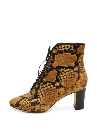 Pre-owned Tory Burch Vienna Snakeskin-embossed Lace-up Ankle Boots In Brown