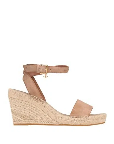 Tory Burch Woman Espadrilles Beige Size 8 Leather In Brown