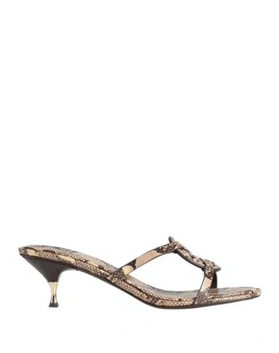 Tory Burch Woman Sandals Sand Size 8 Leather In Animal Print