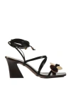 Tory Burch Woman Thong Sandal Dark Brown Size 11.5 Calfskin In Brown