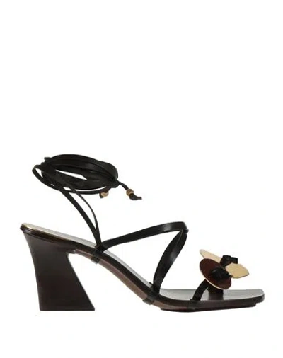 Tory Burch Woman Thong Sandal Dark Brown Size 11.5 Calfskin