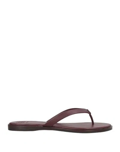 Tory Burch Woman Thong Sandal Dark Brown Size 9.5 Calfskin