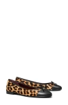 Tory Burch Brown Ballet Shoes With Cap Toe And Leopard Print In Leather Woman In Classic Leopard
