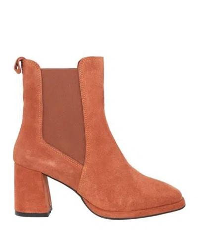 Tosca Blu Woman Ankle Boots Brown Size 7 Leather